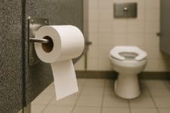 Recycled Toilet Paper, 2-Ply Bath Tissue, White, 500 Sheets per Roll, 96 Rolls/Case, Soft & Gentle for Commercial Restrooms