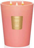 M&SENSE Tropical Spice Peach Soy Candle, 35oz 3-Wick, Summer Scent Gift