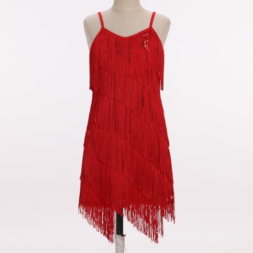 IDOPIP Kids Girls 1920s Flapper Dress Tassels Sequins Fringe Latin Dance Dress Gatsby Halloween Party Ballroom Dance Costumes