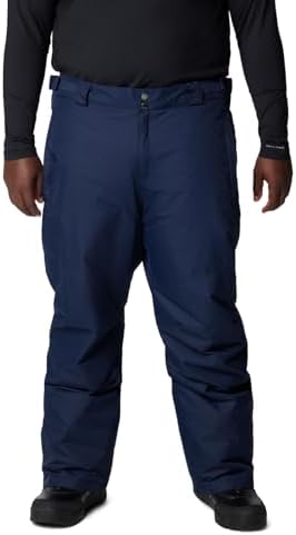 Columbia Men's Bugaboo V Pant