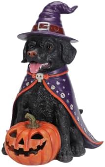Black Lab Dog Statue Halloween Decorations Outdoor with LED Pumpkin