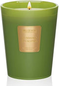 M&SENSE Rosemary Eucalyptus Soy Candle, 14.1oz, Summer Refresh Scent