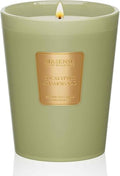 M&SENSE Eucalyptus Cedarwood Soy Candle, 14.1oz 60H Long Lasting, Aromatherapy Candle for Bathroom Freshness Home Decor Housewarming Gifts