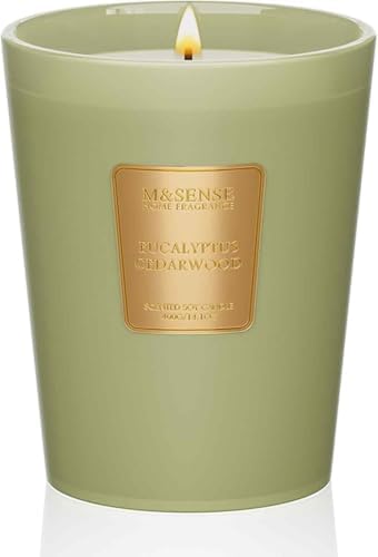 M&SENSE Eucalyptus Cedarwood Soy Candle, 14.1oz 60H Long Lasting, Aromatherapy Candle for Bathroom Freshness Home Decor Housewarming Gifts
