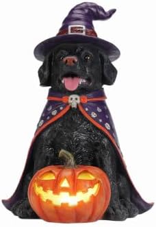 Black Lab Dog Statue Halloween Decorations Outdoor with LED Pumpkin