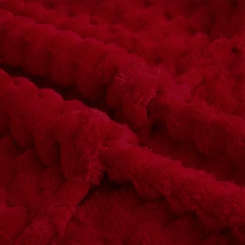 Puncuntex Red Throw Blanket 60"×80" inches Fuzzy 3D Jacquard Decorative