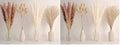 65PCS Pampas Grass Decor, Including pompas Floral, Reed Dried Grass and Bunny Tails Dried Flowers, Natural Dried Pampas Grass Bouquet for Boho Decor Wedding, Home Decoration (Pack of 2)