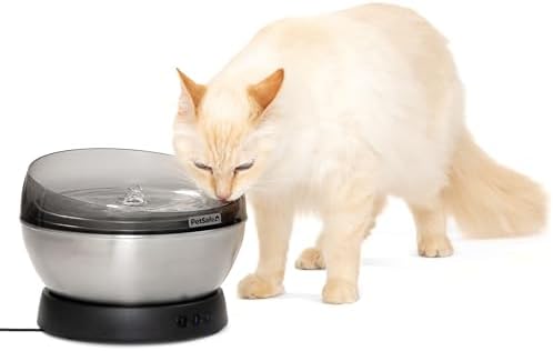 PetSafe HydroSphere 60 oz Stainless Steel Pet Fountain - Filtered Water Fountain for Cats and Small Dogs - Dishwasher Safe - Quiet, Wire-Free Pump - Easy to Clean