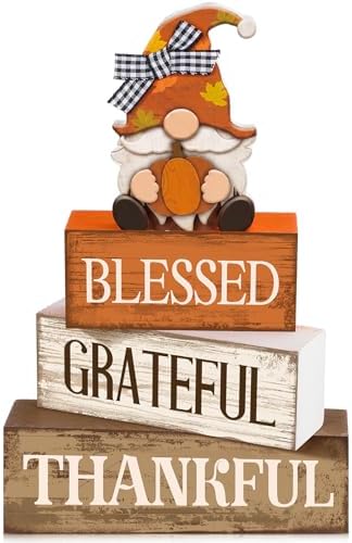 Lineshading 4 Pcs Fall Gnome Block Signs Thanksgiving Tiered Tray Decor