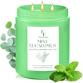 Mint Eucalyptus Large Scented Candle, 3-Wick 22oz Long Lasting Scented Candle, Natural Soy Wax Aromatherapy Candle for Home, Candle Gifts for Women Men
