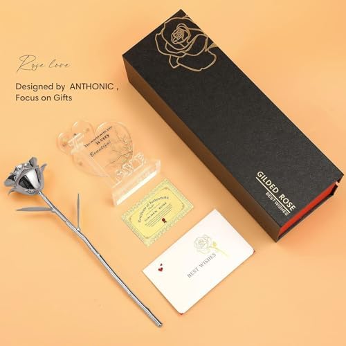 Anthonic Gold Dipped Infinity Rose Last Forever Flower Decor, Birthday Gift for Women in Her Birthday Valentines Day Mothers Day, Resin Preserved Rose | Anniversary Present for Mom (Silver)