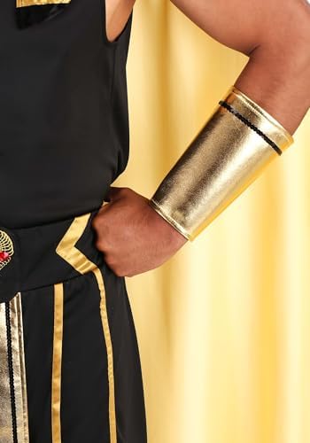 Dreamgirl Men's Sexy King of Egypt Costume