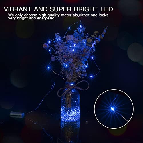 Brightown 12 Pack Christmas Blue Fairy Lights Battery Operated