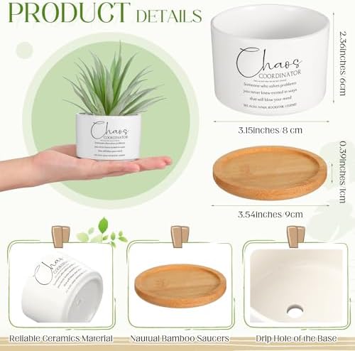 12 Pcs Chaos Coordinator Gifts Succulent Pots Bulk for Christmas