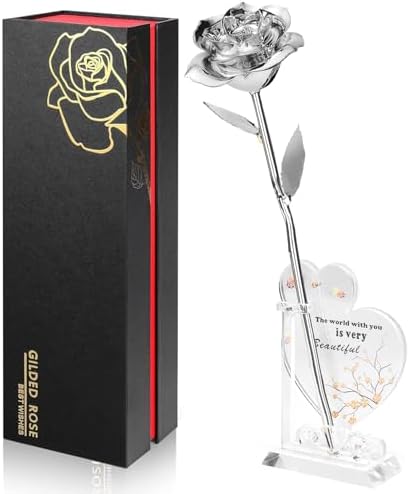 Anthonic Gold Dipped Infinity Rose Last Forever Flower Decor, Birthday Gift for Women in Her Birthday Valentines Day Mothers Day, Resin Preserved Rose | Anniversary Present for Mom (Silver)