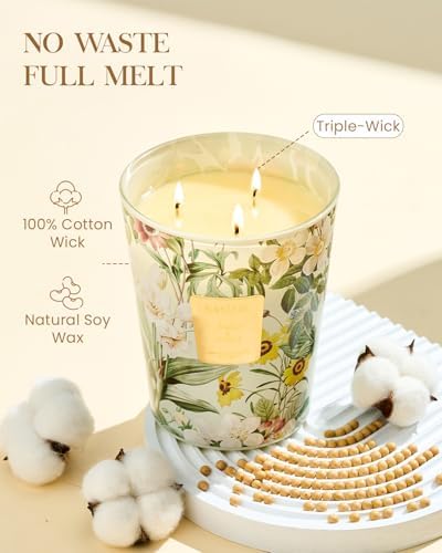 M&SENSE Sage Citrus Soy Candle, 35oz 3-Wick, Kitchen Fresh Odor Eliminator