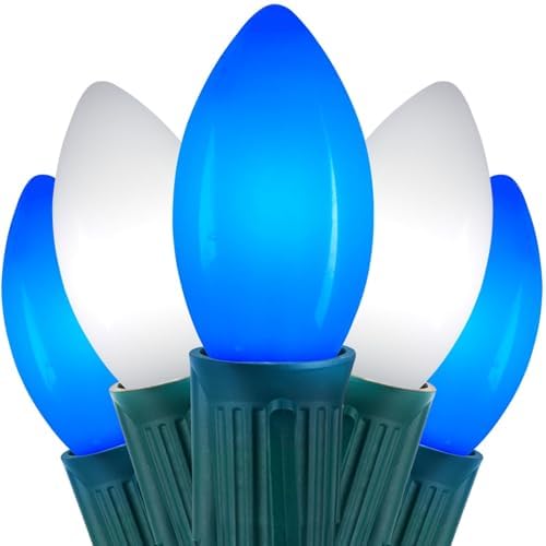 C9 Christmas Lights Outdoor, 100Ft 50 LED Blue & Pure White String Lights