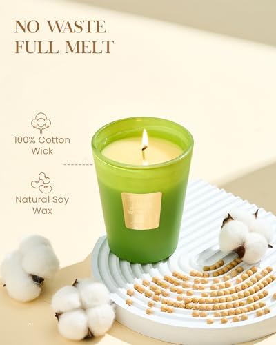 M&SENSE Rosemary Eucalyptus Soy Candle, 14.1oz, Summer Refresh Scent
