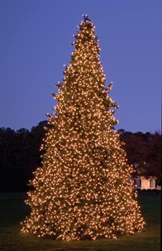 Northlight Olympia Pine Artificial Christmas Tree - Warm White LED 18'