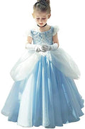 Girls Cinderella Costumes Halloween Princess Dress Up Fancy Birthday Party Ball Gown