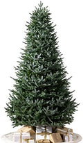 Balsam Hill European Silver Fir - Elegant Artificial Christmas Tree with True Needle Foliage Available Unlit or with LED Clear Lights, Unlit, 6'
