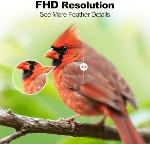 Fazoxo Bird Feeder with Camera,Birds House Camera,Solar Powered,AI Bird ID