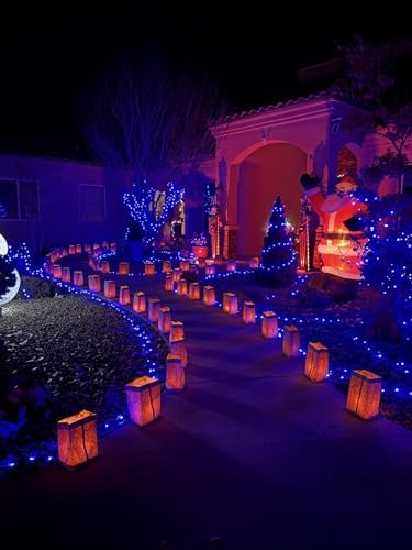 OZS Connectable 2-Pack 164Ft 400LED Christmas String Lights, Blue