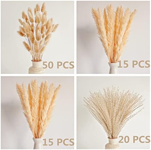 Natural Dried Pampas Grass Decor, Beige Pampas Grass, Bunny Tails Dried Flowers, Reed Grass Bouquet for Wedding Boho Flowers Home Table Decor, Rustic Farmhouse Party (100 in Total )