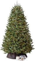 Balsam Hill BH Fraser Fir - Full Christmas Tree with Most Realistic True Needle Foliage, Easy Plug Technology & Multiple Height and Lighting Options, Clear Incandescent, 6.5ft