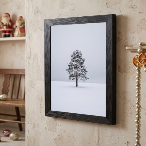 Framed Winter Evergreen Tree Canvas Wall Art, White, Black Frame Inch 16x20