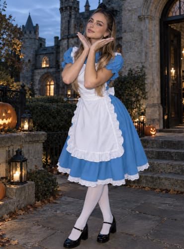 Blue Princess Storybook Character Cosplay, Adult Womens Halloween Costumes