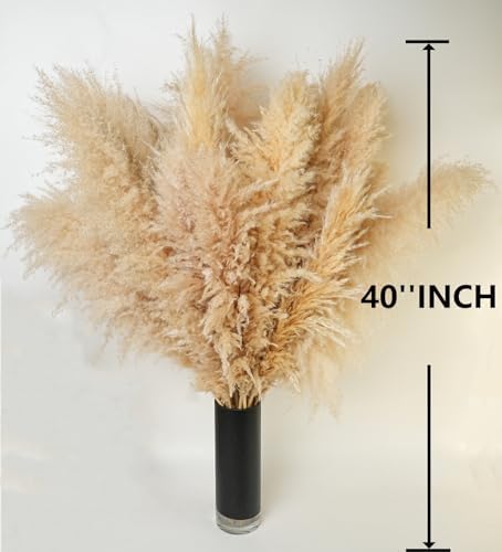 10 PCS 40" Tall Pampas Grass Stems in Natural Beige, Add a Boho Touch to Your Space—Pompas Grass Ideal for Floral Arrangements, Floor Vases, Weddings, and Creating a Bohemian Ambiance at Home.