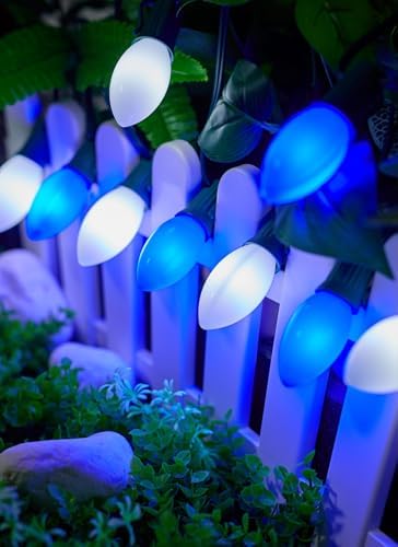 C9 Christmas Lights Outdoor, 100Ft 50 LED Blue & Pure White String Lights