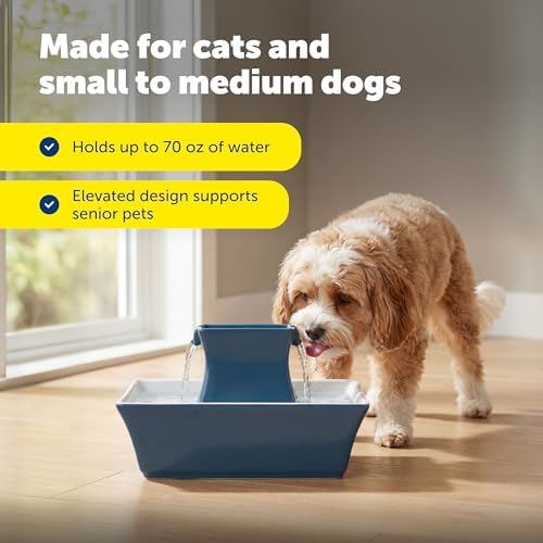 PetSafe Drinkwell Pagoda Ceramic Cat Water Fountain, 70 oz, Extra Filters