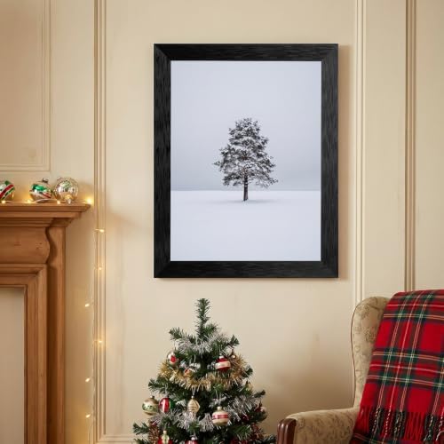Framed Winter Evergreen Tree Canvas Wall Art, White, Black Frame Inch 16x20