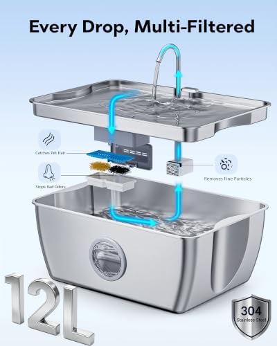 CEESC 12L/3.2Gal Dog Water Fountain with Easy-Carry Handle, Stainless Steel