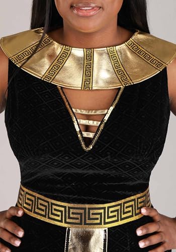 Dreamgirl Womens Exquisite Cleopatra Costume,One Size