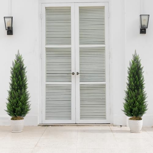 Vitalismo 4FT Artificial Cedar Trees Set of 2 for Outdoor Front Porch