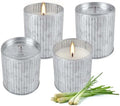 4Pack Citronella Candles Outdoor Indoor, 4oz Silver Canned Candle