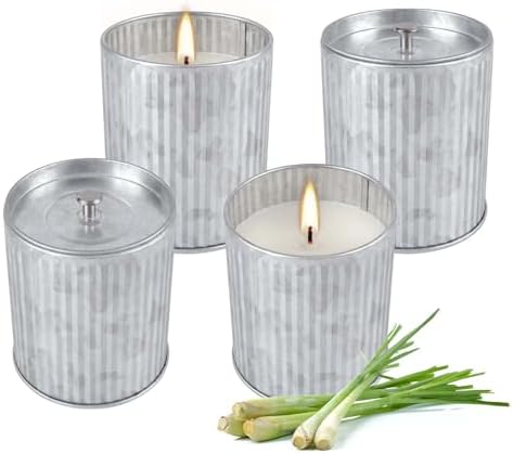 4Pack Citronella Candles Outdoor Indoor, 4oz Silver Canned Candle