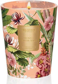 M&SENSE Peony Blush Suede Soy Candle, 14.1oz, Romantic Gift for Women