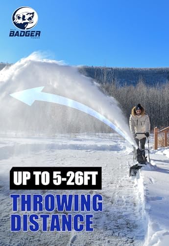 Wild Badger Power 40V 20-in Cordless Electric Snow Blower, Tool Only