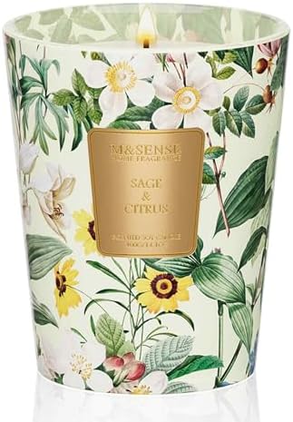M&SENSE Sage Citrus Soy Candle, 14.1oz, Refresh Home Fragrance