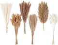 Dried Pampas Grass Decor, 120 PCS Pampas Grass with Bunny Tails Dried Flowers, Reed Grass Bouquet for Wedding, Boho Flowers, Home Table Decor, Rustic Farmhouse Party (White and Brown)