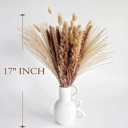 Natural Dried Pampas Grass Decor, Brown Pampas Grass， Bunny Tails Dried Flowers, Reed Grass Bouquet for Wedding Boho Flowers Home Table Decor, Fall Decor，Rustic Farmhouse Party (100 in Total )