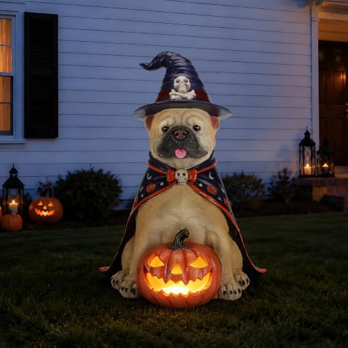 Bulldog Statue Halloween Decoration with LED Pumpkin Lantern