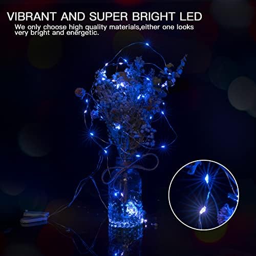 Brightown 12 Pack Christmas Blue White Fairy Lights Battery Operated