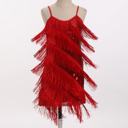 IDOPIP Kids Girls 1920s Flapper Dress Tassels Sequins Fringe Latin Dance Dress Gatsby Halloween Party Ballroom Dance Costumes