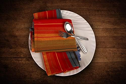 Urban Villa Kitchen Towels Cotton Dish Towels 20”x30” (Set of 3) Red Multi