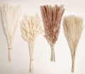 Natural Dried Pampas Grass Decor, 100 PCS Pampas Grass Contains White Bunny Tails Dried Flowers, Reed Grass Bouquet for Wedding Boho Flowers Home Table Decor, Rustic Farmhouse Party (17”)